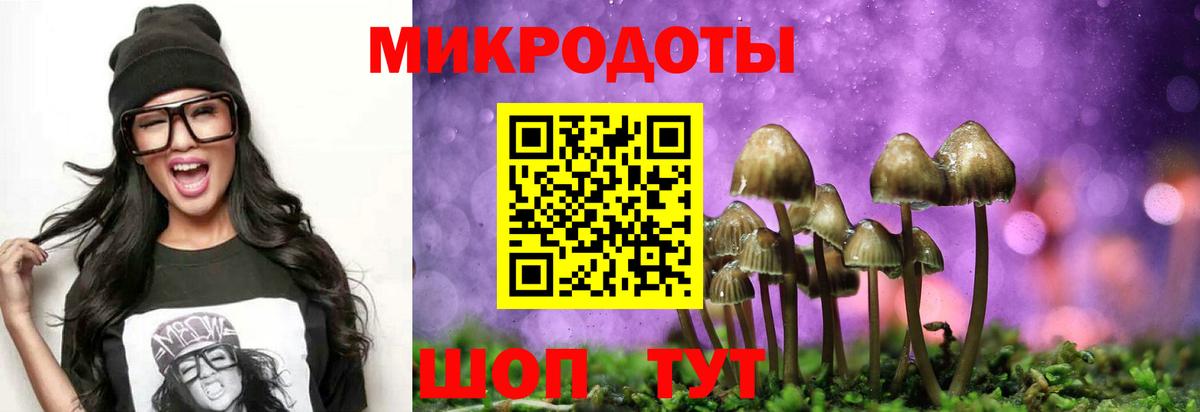 как найти закладки  Вход с VPN  Юрга  Псилоцибиновые грибы Cubensis 